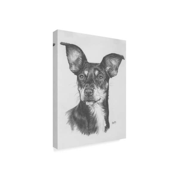 Barbara Keith 'Chiweenie' Canvas Art,24x32